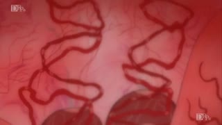 Hot fight at sea, part 2: Aina learns all the delights of double penetration